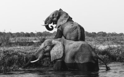 “Para cada solución, un problema”: una realidad en el mundo de la facturación electrónica