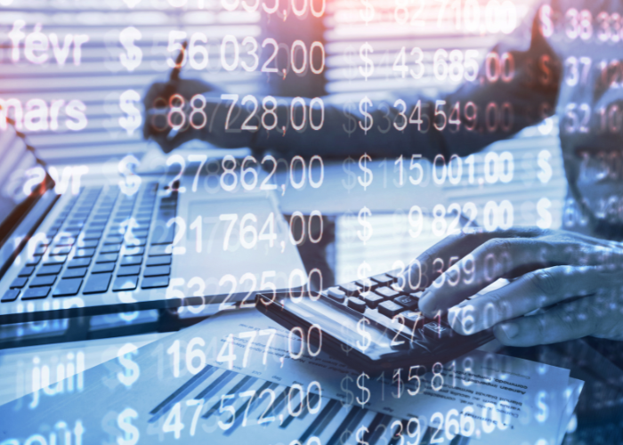 contabilidad analitica