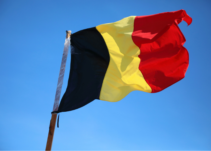 Factura electronica en Belgica 2026